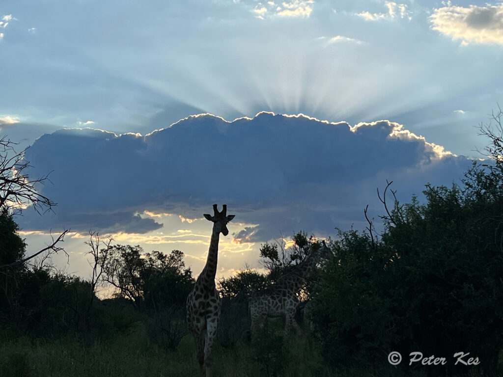 Sky_9778