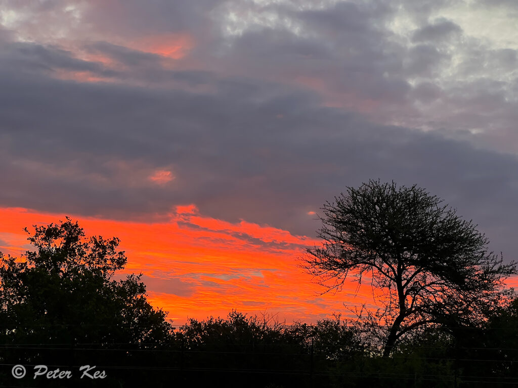 Sunset_9604