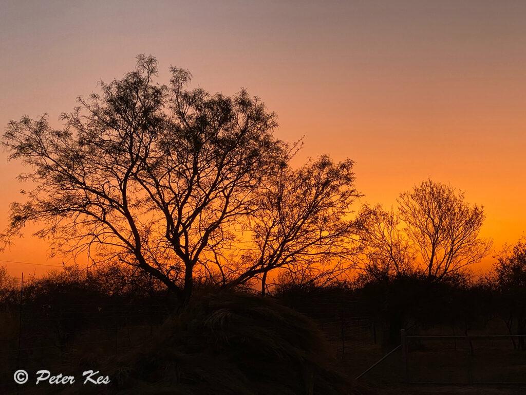 Sunset_IMG_6211