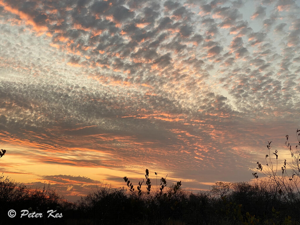 Sunset_IMG_6300