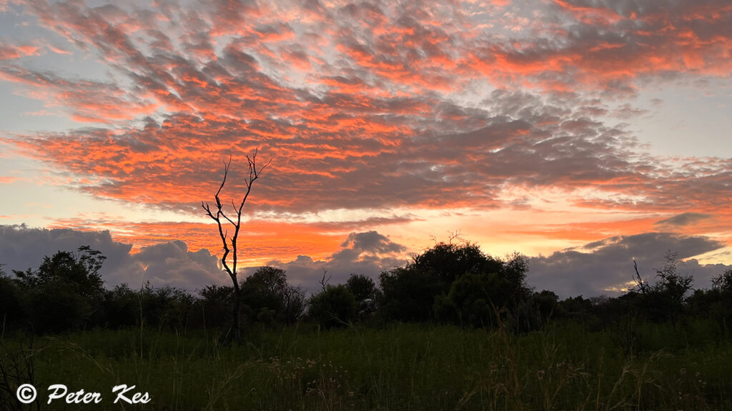 Sunset_IMG_7258
